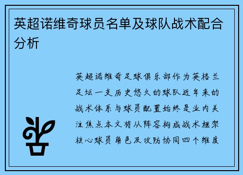 英超诺维奇球员名单及球队战术配合分析