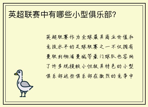 英超联赛中有哪些小型俱乐部？